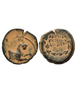Impero Seleucide – Antioco VI Dioniso (144-142 a.C.) – Æ16 – Pantera (MOLTO RARA)