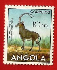 ANGOLA 1953 YT 358 MLH  € 0.10